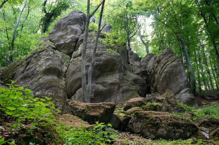 Štúrova skala, Dubník sever (foto: Laco)