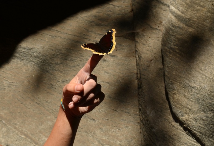 Zaklínačka motýľov (foto: Oli)