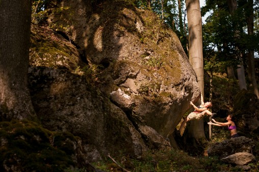 Zlatý bažant 6A+, Bojková