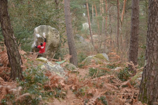 Bleau's Art 7B, Cuvier Merveille (foto: Oli)