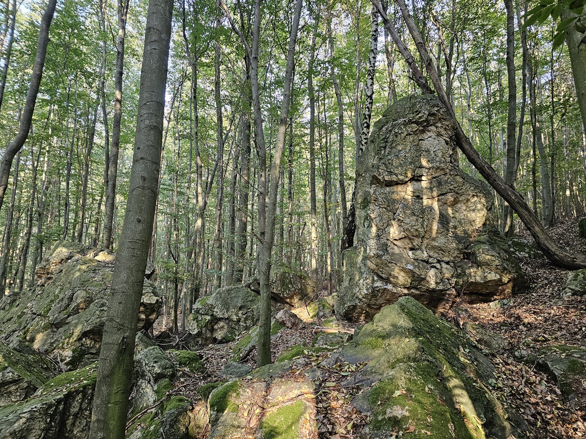 Bouldering nad horárňou pri Rybníčku