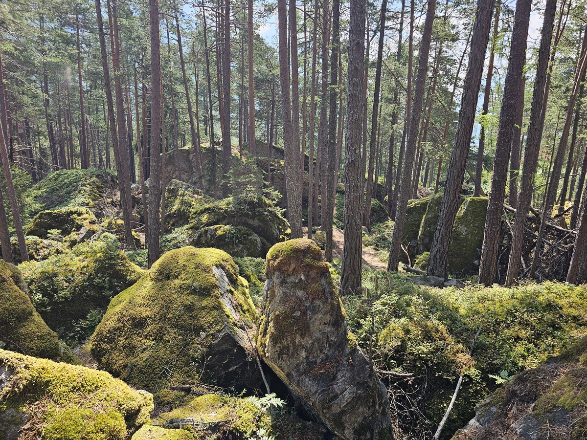 Bouldering Land of the Giants